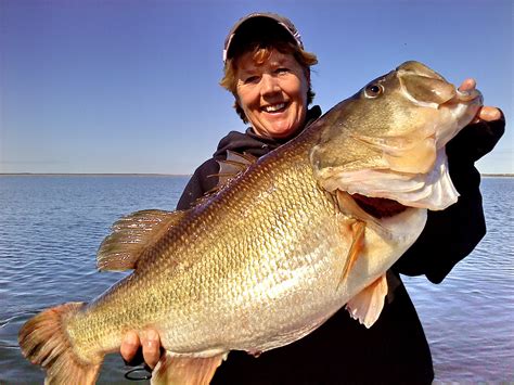 Picture Of A Large Mouth Bass Fishing Bass Texas Lake Biggest Cedar