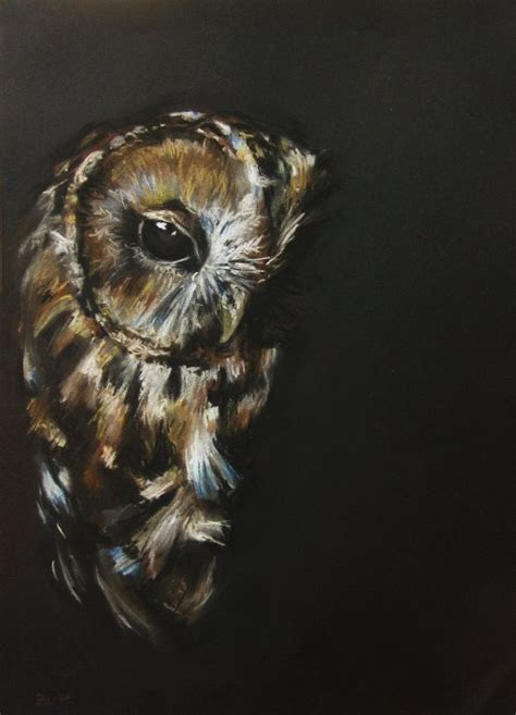 On Deviantart Owl Owl