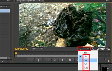 Group bahan coli (telegram) retweeted. CARA MENGATASI LAG PADA SAAT PREVIEW (MEMUTAR) VIDEO SAAT EDITING DI ADOBE PREMIERE PRO
