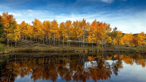 Lake Autumn Trees Wallpapers 1366x768 486096