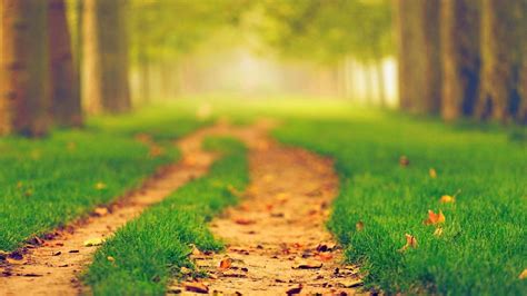 Nature Path Blurred Wallpapers Hd Desktop And Mobile Backgrounds