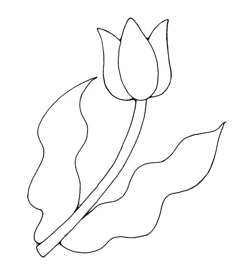 Tulip Clip Art Outline