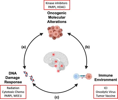 Frontiers Radiation In Combination With Targeted Agents And