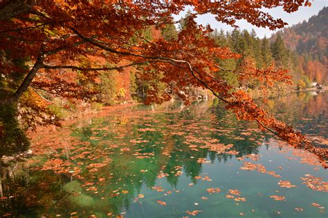 Herbstbild Foto & Bild | jahreszeiten, herbst, natur Bilder auf ...