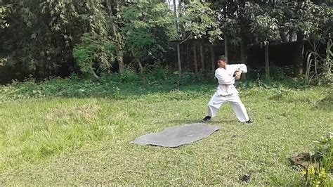 Amazing Best Free Style Kung Fu Youtube