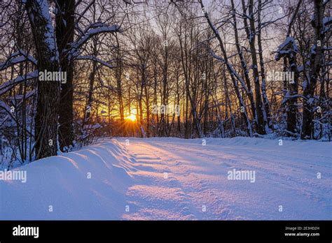 Beautiful Winter Landscape With Dawn An Orange Sun Shines Through The