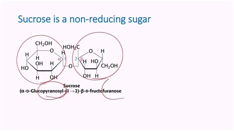 💣 Examples Of Reducing And Nonreducing Sugars 8 Difference Between