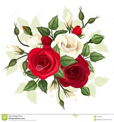 We did not find results for: Rose Rosse E Bianche E Fiori Di Lisianthus Illustrazione ...