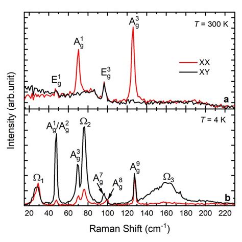 Polarization Resolved Raman Spectra Of Vi3 A Taken At 300 K In The