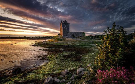 Download Wallpapers Dunguaire Castle Irish Stone Fortress County