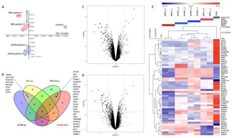 Genes Free Full Text Proteomic And Transcriptomic Landscapes Of