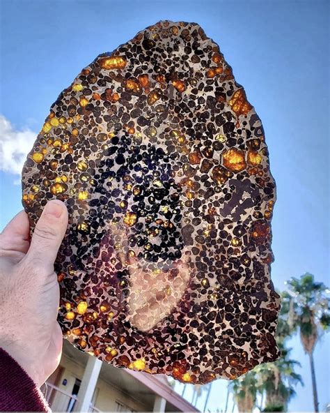 A Giant Slab Of Olivine Filled Pallasite Meteorite Pierre Minérale