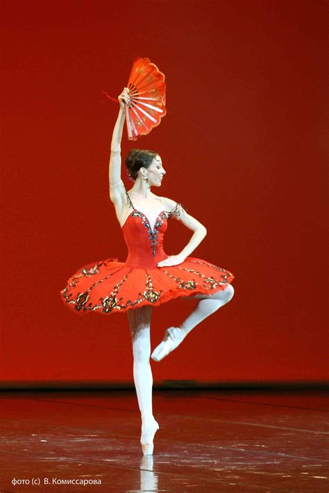 Russian Red Ballet Beautiful Classical Ballet Tutu Ballet Dress