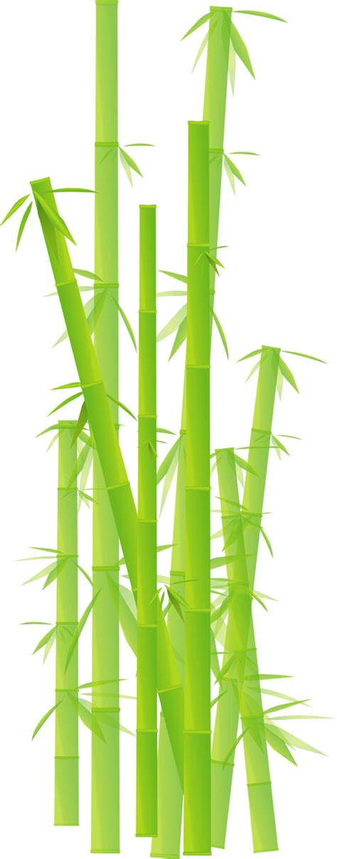 Bamboo Clip art - Bamboo Cliparts png download - 512*1303 - Free Transparent Bamboo png Download ...