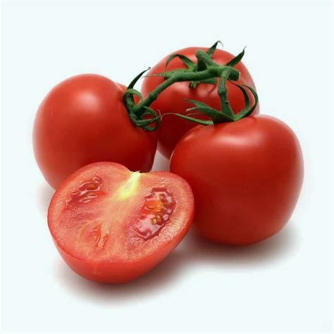Tomat Buah Homecare24