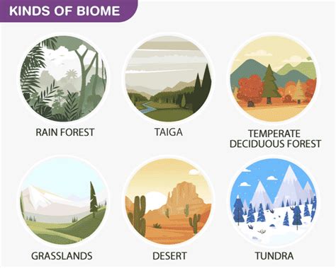 Different Types Of Biomes Biomes