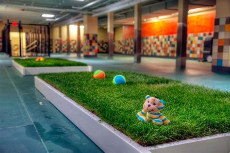 The dog boarders have been so caring and so good about letting me know each time how much boys are doing! Dallas' new luxury dog hotel is probably nicer than your ...