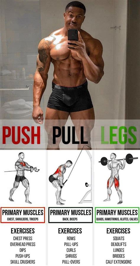 Push Pull Legs Split Day Weight Training Workout Schedule And Plan Weight Training