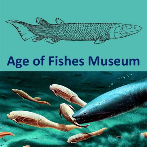 Age Of Fishes Museum By Acoustiguide Of Australia Pty Ltd