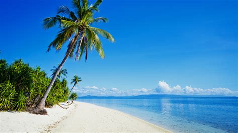 Fotos Philippinen Strände Meer Natur Tropen Palmen Küste 3840x2160
