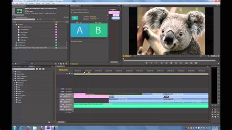 Ever since adobe systems was founded in 1982 in the middle of silicon valley. Adobe Premiere Pro CS6 Offline Installer ISO Free Download