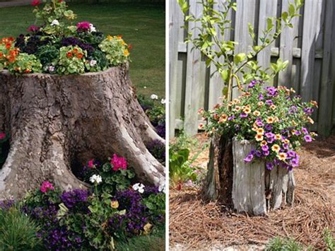 14 Tree Stumps Turned Into Gorgeous Planters Part 2