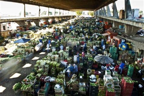 *** ceagesp informs that it is mandatory to wear masks within the dependencies of all its units (capital warehouse, interior warehouses / silos / bulk. Doria anuncia transferência da Ceagesp para nova sede ...