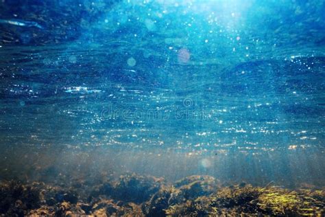 Underwater Scenery In River Water Stock Image Image Of Blue Clear