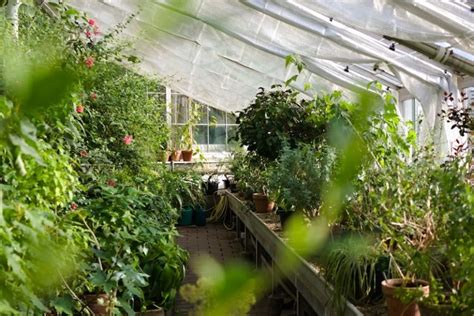 How To Build A High Tunnel Greenhouse And Extend Growing Season