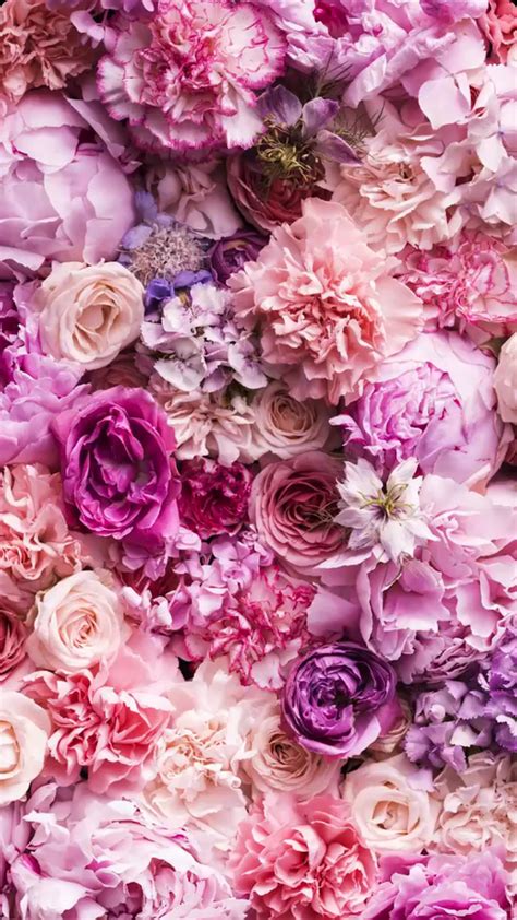 Unduh 76 Kumpulan Wallpaper Iphone X Flower Terbaik Background Id