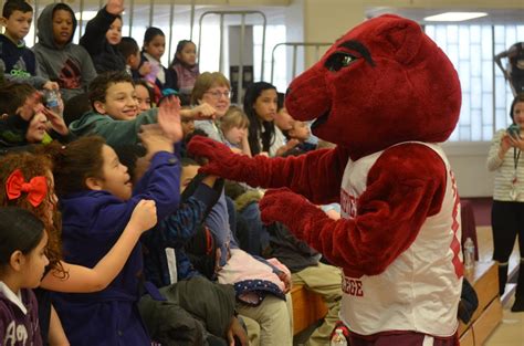 Springfield College Athletics And Division Of Inclusion And Community