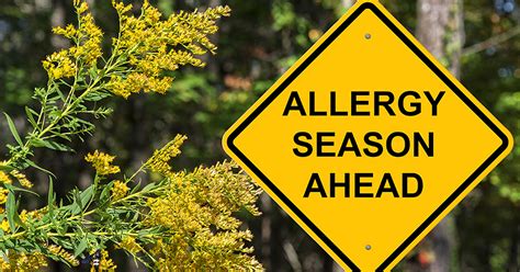 Natural Allergy Options And Treatment Wichita Ks Chiropractor