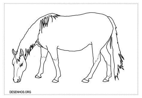 Mais De 100 Desenhos De Cavalos Para Colorir