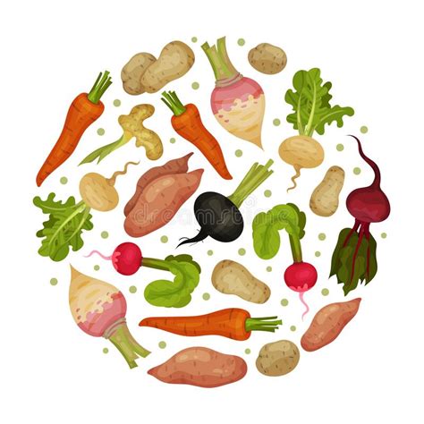 Root Vegetables Round Composition Design With Ripe Agricultural Crops