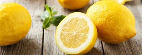 Campuran madu asli dan lemon dikatakan mampu memberi manfaat kepada kesihatan. 13 Khasiat dan Manfaat Lemon Untuk Kesehatan, Serta Untuk ...
