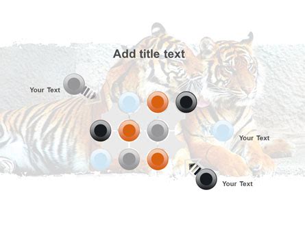 Tigers Presentation Template For PowerPoint And Keynote PPT Star