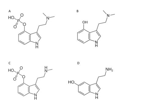 The Molecular Structure Of A ­‐ Psilocybin B ­‐ Psilocin C