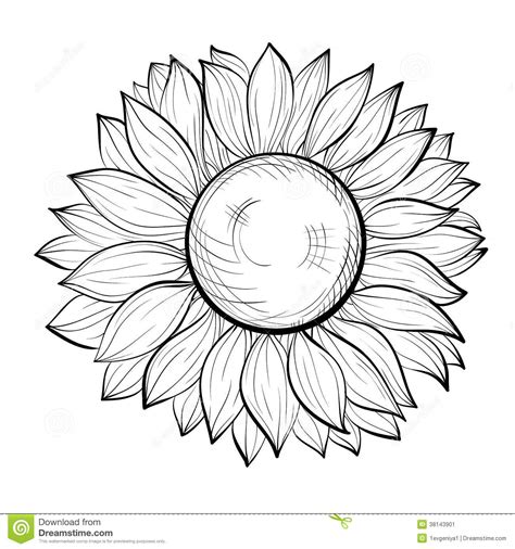 We did not find results for: Bello Girasole In Bianco E Nero Isolato Su Fondo Bianco ...
