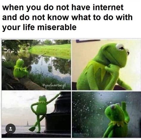 25 Kermit The Frog Memes That Are Insanely Hilarious