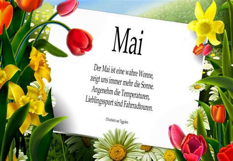 We did not find results for: Pin von Grete Greiner auf morgengrüsse | Gedichte und ...