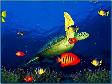 3d Marine Aquarium Screensaver Windows 7 Download Screensaversbiz