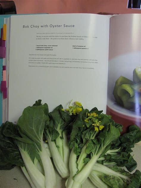 The bok choy was blanched in boiling broth while. ReTorte: Cooking with Kylie: Bok Choy with Oyster Sauce