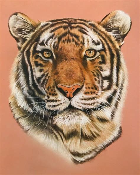 Louise H Art On Instagram His Majesty Faber Castell Polychromos
