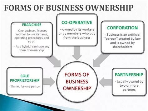 Business Ownership Types Management And Leadership