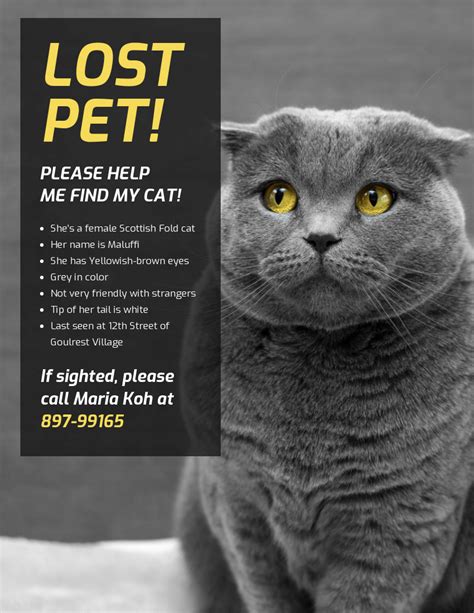 Simple Lost Cat Poster Template Develop A Heartfelt Lost Pet Poster