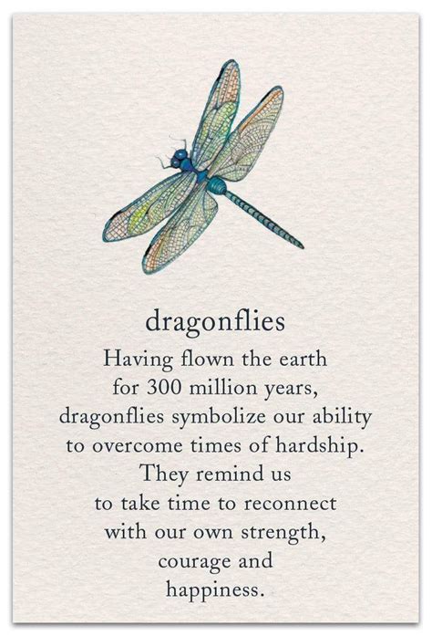 Dragonflies Card In 2021 Dragonfly Quotes Inspirational Quotes Words