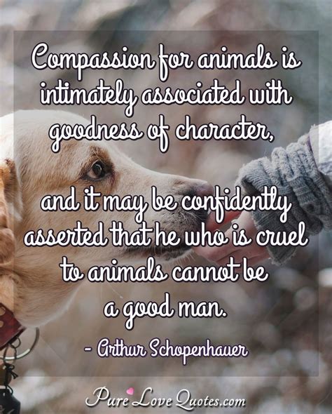 Kindness To Animals Quote Respect For Animals Quotes Quotesgram I
