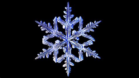 One Man Has Spent 15 Years Photographing Snowflakes Snowflake