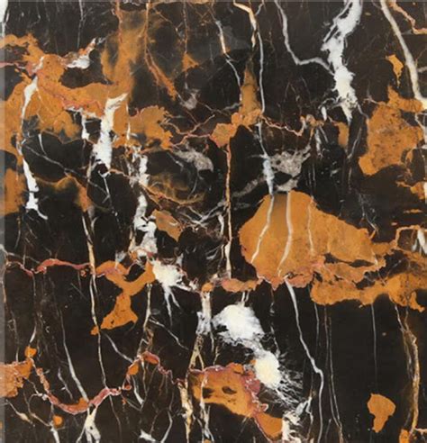 7 Types Of Black Marble For Countertops Floors And Claddings 2022