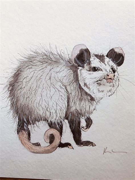Original Cute Opossum Possum By Coasttocoastartist On Etsy Pet Portrait